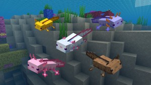 minecraft-axolotl-zaehmen-finden-zuechten-farben.jpg