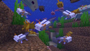 minecraft-blue-axolotls-compressed-2.jpg